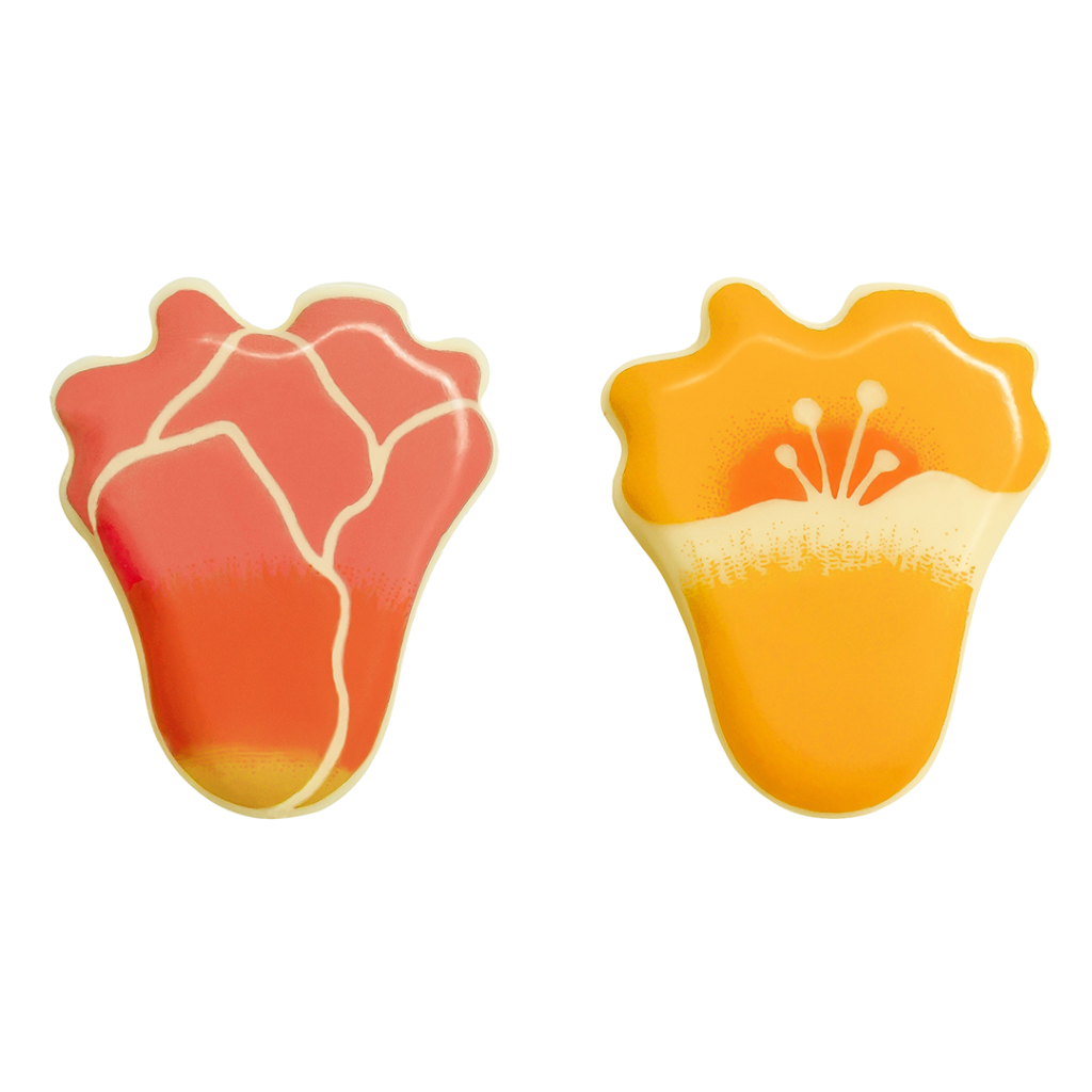 czekoladowy tulipan i dzwonek